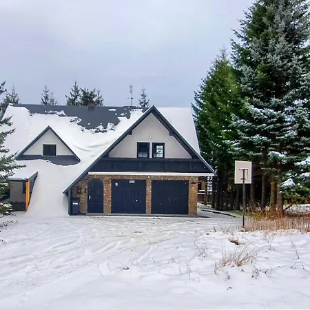 Jaszczurowka 别墅 *